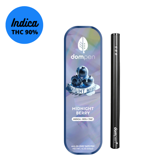 1GM Dompen Midnight Berry Disposable Pen